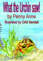 What The Urchin Saw | Available now | Dancing Mackerel Shop